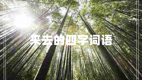 來(lái)去的四字詞語(yǔ)