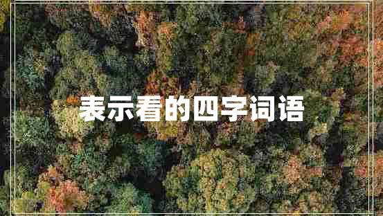 表示看的四字詞語(yǔ)