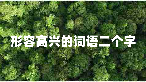 形容高興的詞語(yǔ)二個(gè)字