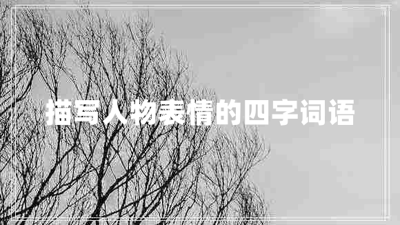 描寫(xiě)人物表情的四字詞語(yǔ)
