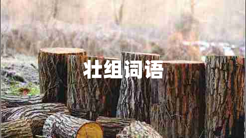 壯組詞語(yǔ)