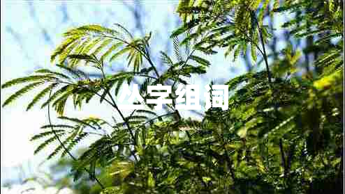 叢字組詞
