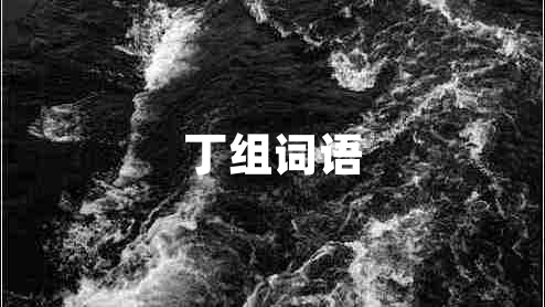 丁組詞語(yǔ)
