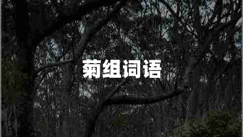 菊組詞語(yǔ)