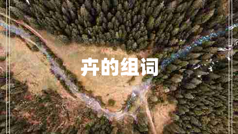 卉的組詞