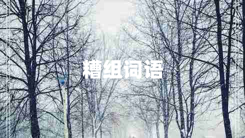 糟組詞語(yǔ)