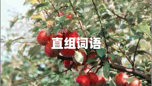 直組詞語(yǔ)