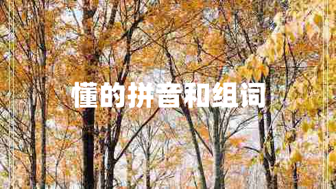 懂的拼音和組詞