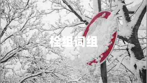 栓組詞組