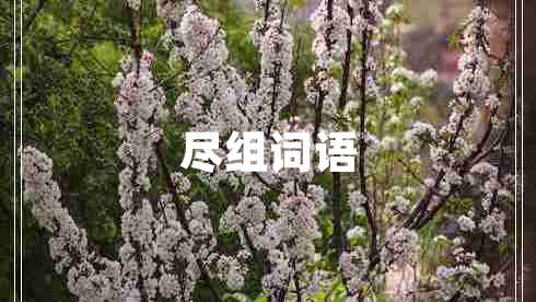 盡組詞語(yǔ)