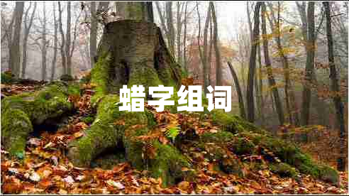 蠟字組詞