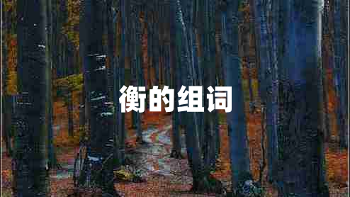 衡的組詞
