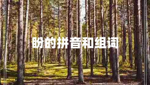 盼的拼音和組詞