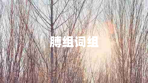 膊組詞組