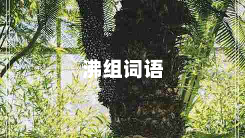 沸組詞語(yǔ)