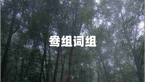 鴦組詞組