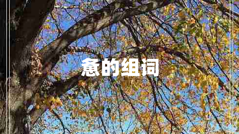 憊的組詞
