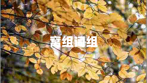 窩組詞組