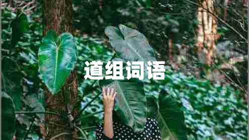 道組詞語(yǔ)