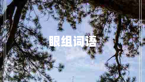 眼組詞語(yǔ)