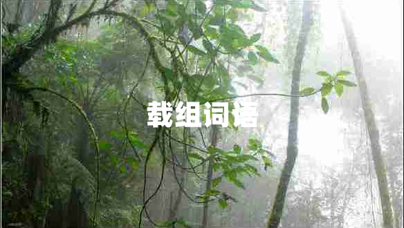 載組詞語(yǔ)