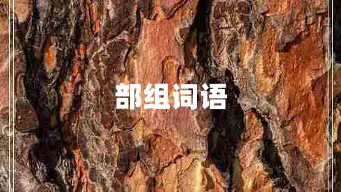 部組詞語(yǔ)
