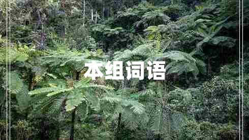 本組詞語(yǔ)