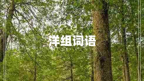 洋組詞語(yǔ)