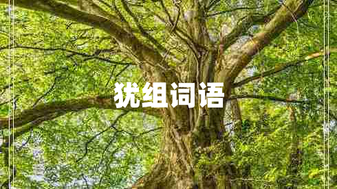 猶組詞語(yǔ)
