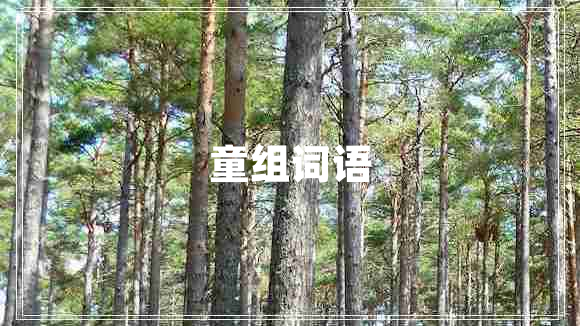 童組詞語(yǔ)