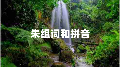 朱組詞和拼音