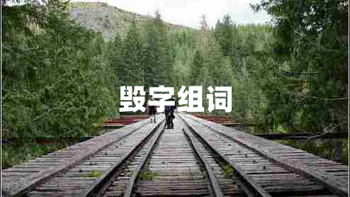 毀字組詞