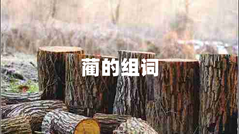 藺的組詞