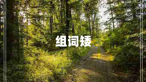 組詞矮