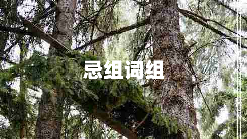 忌組詞組