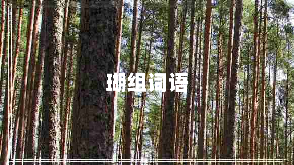 瑚組詞語(yǔ)