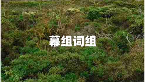 幕組詞組