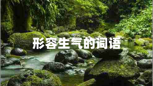 形容生氣的詞語(yǔ)
