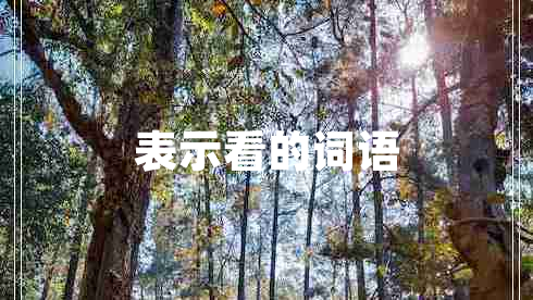 表示看的詞語(yǔ)