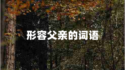 形容父親的詞語(yǔ)