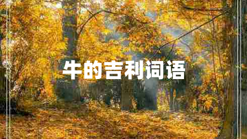 牛的吉利詞語(yǔ)