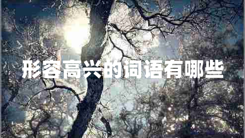 形容高興的詞語(yǔ)有哪些