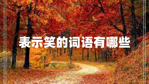表示笑的詞語(yǔ)有哪些