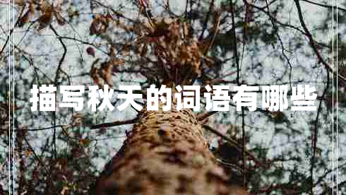 描寫(xiě)秋天的詞語(yǔ)有哪些