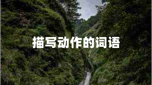 描寫(xiě)動(dòng)作的詞語(yǔ)