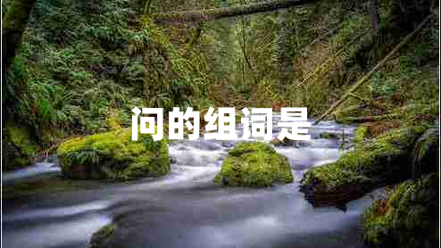 問(wèn)的組詞是