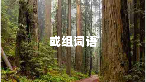 或組詞語(yǔ)