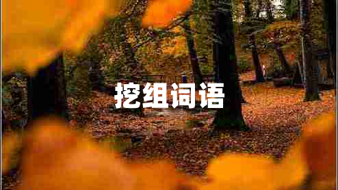 挖組詞語(yǔ)