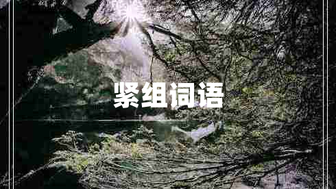 緊組詞語(yǔ)