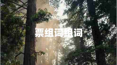 票組詞組詞